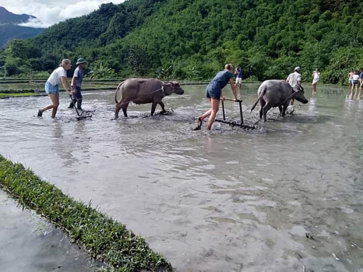 Mai Chau Xanh Bungalow エクステリア 写真