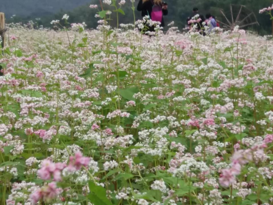 Mai Chau Xanh Bungalow エクステリア 写真