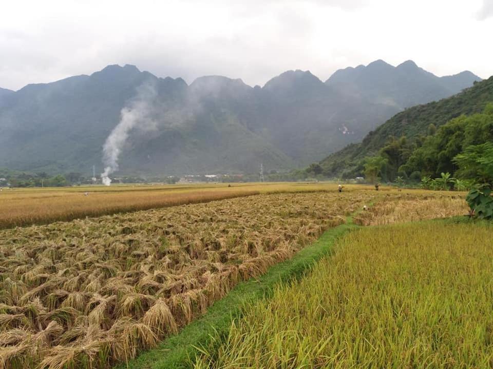 Mai Chau Xanh Bungalow エクステリア 写真