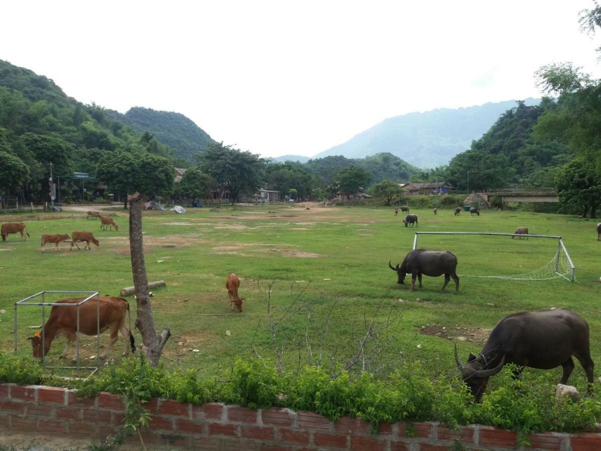 Mai Chau Xanh Bungalow エクステリア 写真